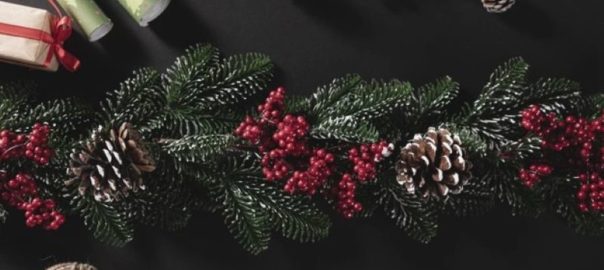 Why Red and Green Are the Traditional Colors for Christmas