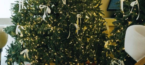 Choosing the Perfect Christmas Tree for Your Family