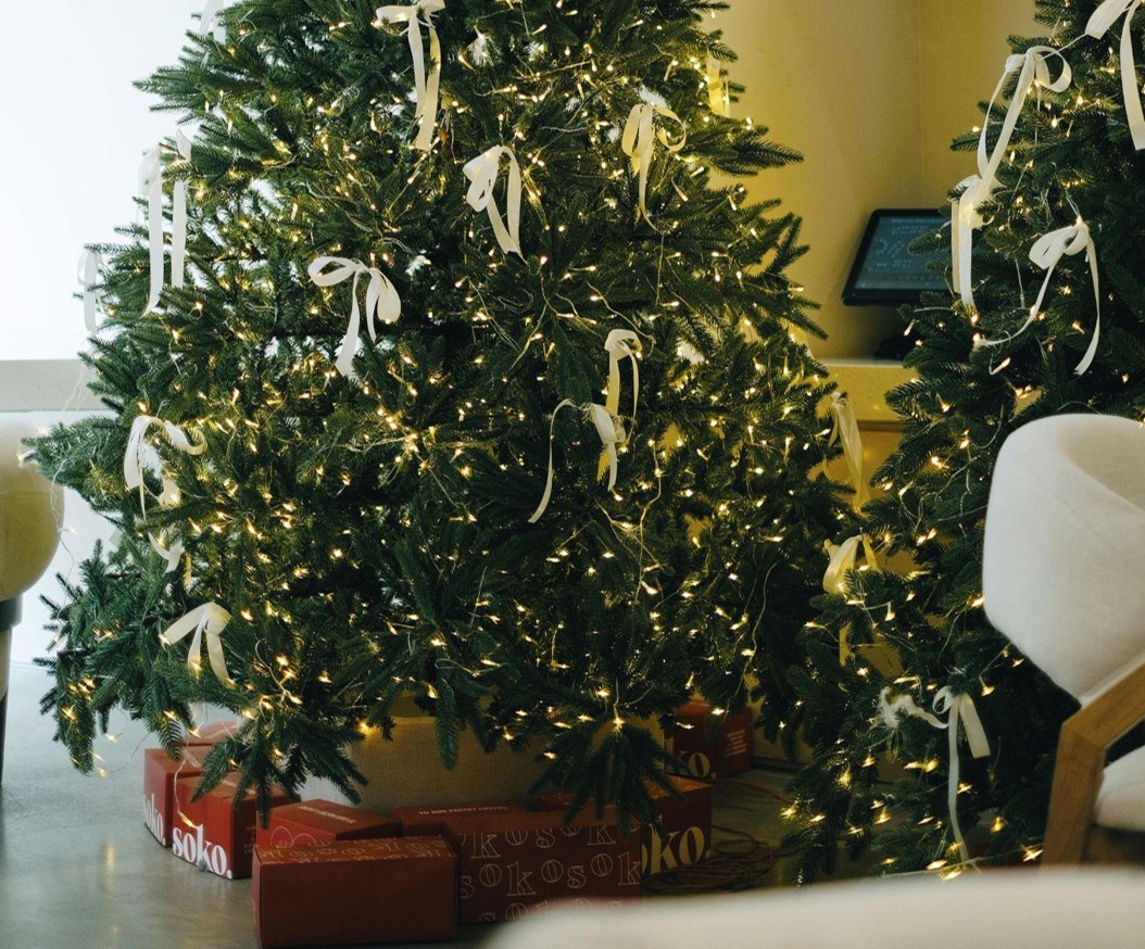 Choosing the Perfect Christmas Tree for Your Family - Holiday Cuba